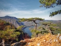 Tara, vidikovac, Banjska stena Tara, vidikovac, Banjska stena