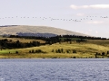 _MG_9929 _MG_9929