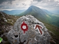 Sokolov put